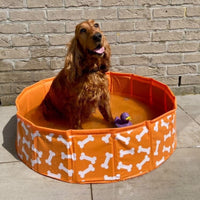 Bonebash | Orange Dog Pool Ø 80 cm