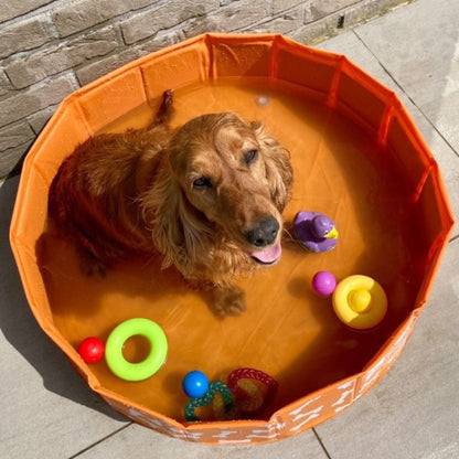 Bonebash | Oranje Honden Zwembad Ø 80 cm