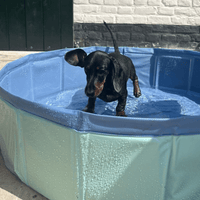 Blues | Mint Green Dog Pool Ø 80 cm