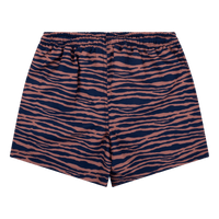 Vibrant Stripes | Blue/Orange UV Swim Shorts Boys